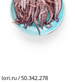 top view squid plate. Стоковое фото, агентство Ingram Publishing / Фотобанк Лори