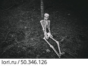 sitting skeleton leaned tree dark forest. Стоковое фото, агентство Ingram Publishing / Фотобанк Лори