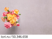 vase with lovely carnations. Стоковое фото, агентство Ingram Publishing / Фотобанк Лори