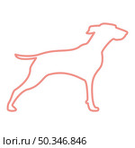 Neon hunter dog or gundog red color vector illustration image flat style light. Neon hunter dog or gundog red color vector illustration image flat style. Стоковая иллюстрация, агентство Ingram Publishing / Фотобанк Лори