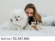 girl cute white pups sitting bed. Стоковое фото, агентство Ingram Publishing / Фотобанк Лори