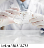 researcher with petri dish biotechnology laboratory. Стоковое фото, агентство Ingram Publishing / Фотобанк Лори