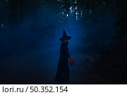 witch girl path mist. Стоковое фото, агентство Ingram Publishing / Фотобанк Лори