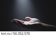Male Hand in Light Beam on Black Background for Object Placement. Стоковое видео, видеограф Илья Шаматура / Фотобанк Лори