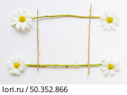 frame from chamomiles stems. Стоковое фото, агентство Ingram Publishing / Фотобанк Лори