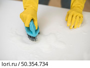 high angle woman with cleaning gloves using brush. Стоковое фото, агентство Ingram Publishing / Фотобанк Лори