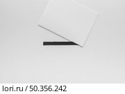flat lay elections concept with copy space. Стоковое фото, агентство Ingram Publishing / Фотобанк Лори