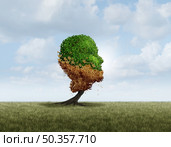Rejuvenate Concept and rejuvination metaphor or restoring health and renewal of age or reversing the aging process as a an old tree turning into a healthy young green plant with 3D illustration elements. Стоковое фото, агентство Ingram Publishing / Фотобанк Лори