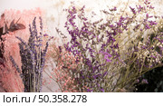 close up lavender flowers. Стоковое фото, агентство Ingram Publishing / Фотобанк Лори