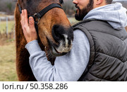 close up man holding horse. Стоковое фото, агентство Ingram Publishing / Фотобанк Лори