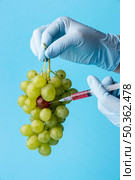 gmo chemical modified food grapes. Стоковое фото, агентство Ingram Publishing / Фотобанк Лори