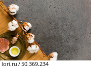 salt bottle with sea shell oil near cotton pant. Стоковое фото, агентство Ingram Publishing / Фотобанк Лори