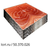 Processed food symbol and genetically engineered foods or GMO fish as an Atlantic Salmon steak shaped as  a synthetic cube shape representing bioengineering or aquaculture as a consumer product. Стоковое фото, агентство Ingram Publishing / Фотобанк Лори