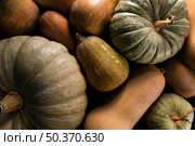 top view variety autumn squash. Стоковое фото, агентство Ingram Publishing / Фотобанк Лори