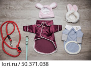 dog sleepwear walking lead. Стоковое фото, агентство Ingram Publishing / Фотобанк Лори