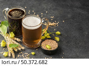 beer mugs and wheat seeds high angle . Стоковое фото, агентство Ingram Publishing / Фотобанк Лори