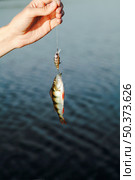 close up hand holding fishing bait with caught fish against lake. Стоковое фото, агентство Ingram Publishing / Фотобанк Лори