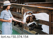 goat eating food from girl s hand farm. Стоковое фото, агентство Ingram Publishing / Фотобанк Лори