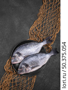 top view fish plate fish net. Стоковое фото, агентство Ingram Publishing / Фотобанк Лори
