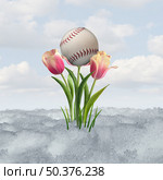 Spring baseball symbol as a ball sport concept with a tulip bloom as a symbol of thawing melting snow after winter weather with tulips as a springtime game concept with 3D illustration elements. Стоковое фото, агентство Ingram Publishing / Фотобанк Лори