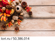 autumn composition with pine cones clews apples. Стоковое фото, агентство Ingram Publishing / Фотобанк Лори