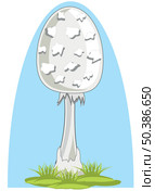 Mushroom toadstool on white background is insulated. Стоковая иллюстрация, иллюстратор Шипицин Евгений Витальевич / Фотобанк Лори