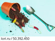 jelly worms overturning pot with ground near shovel. Стоковое фото, агентство Ingram Publishing / Фотобанк Лори