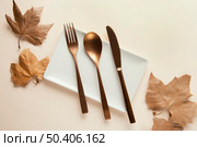 flat lay composition beautiful tableware table 3. Стоковое фото, агентство Ingram Publishing / Фотобанк Лори