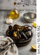 high angle delicious shells spices. Стоковое фото, агентство Ingram Publishing / Фотобанк Лори