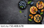 top view delicious pies with plums copy space. Стоковое фото, агентство Ingram Publishing / Фотобанк Лори
