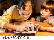 brother sister plating seeds home. Стоковое фото, агентство Ingram Publishing / Фотобанк Лори