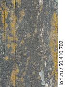 coarse surface with paint. Стоковое фото, агентство Ingram Publishing / Фотобанк Лори