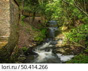 Surrounding landscape of the Estanislau fountain park and the Lourido river that divides the parishes of Arada and Maceda in the Municipality of Ovar, Portugal. Стоковое фото, агентство Ingram Publishing / Фотобанк Лори