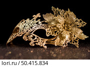 high angle gleaming carnival mask. Стоковое фото, агентство Ingram Publishing / Фотобанк Лори