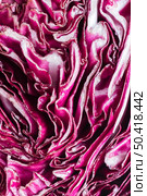 close up purple cabbage 3. Стоковое фото, агентство Ingram Publishing / Фотобанк Лори