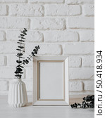 front view blank frame concept 23. Стоковое фото, агентство Ingram Publishing / Фотобанк Лори