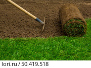 Gardener applying turf rolls in the backyard. Стоковое фото, агентство Ingram Publishing / Фотобанк Лори