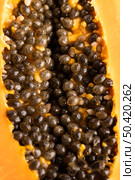 close up papaya with seeds. Стоковое фото, агентство Ingram Publishing / Фотобанк Лори
