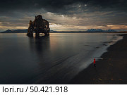 Hvitserkur rock formation with the shape of a Elephant, Iceland. Стоковое фото, агентство Ingram Publishing / Фотобанк Лори