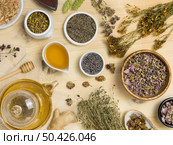 flat lay natural medicinal spices herbs 6. Стоковое фото, агентство Ingram Publishing / Фотобанк Лори