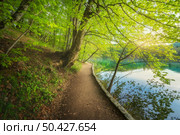 Path in beautiful forest near the lake at sunset in spring. Plitvice Lakes, Croatia. Colorful landscape with trail, trees with green leaves, blue water in blooming park in summer. Walkway in woods . Стоковое фото, агентство Ingram Publishing / Фотобанк Лори