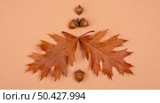 top view monochromatic leaves. Стоковое фото, агентство Ingram Publishing / Фотобанк Лори