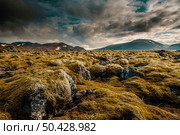 Icelandic moss cover volcanic rocks9. Стоковое фото, агентство Ingram Publishing / Фотобанк Лори