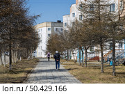 Женщина идёт по пешеходной дорожке среди распускающихся весенних лиственниц. Вид на улицу северного города с жилыми панельными зданиями. Повседневная жизнь в Сибири и на Дальнем Востоке России. Город Магадан, Магаданская область, Россия. Весенний сезон. Май. Редакционное фото, фотограф Андрей Степанов / Фотобанк Лори