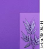 flat lay monochromatic leaves with copy space 5. Стоковое фото, агентство Ingram Publishing / Фотобанк Лори