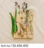 flat lay organic medicines with ginger. Стоковое фото, агентство Ingram Publishing / Фотобанк Лори