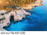 Aerial view of blue sea, rocks in clear water, grotto, green trees at sunset in summer. Adriatic sea, Kamenjak, Croatia. Colorful landscape with rocky sea coast, cave, azure water, forest. Top view. Aerial view of blue sea, rocks in clear water, grotto, forest. Стоковое фото, агентство Ingram Publishing / Фотобанк Лори