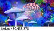 Mushrooms and mental health as Psychedelic drug or psychedelics hallucinogenic drugs and hallucinogens representing medicine for brain disorders in a 3D illustration style. Стоковое фото, агентство Ingram Publishing / Фотобанк Лори