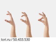 Horizontal female hands making the gesture that measuring or size or girth, thickness with fingers, isolated on white background. Hand with fingers open steps.. Set of female hands grip gesture on white. Стоковое фото, агентство Ingram Publishing / Фотобанк Лори