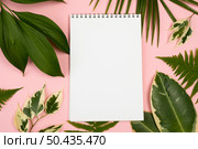 top view notebook with selection plant leaves. Стоковое фото, агентство Ingram Publishing / Фотобанк Лори